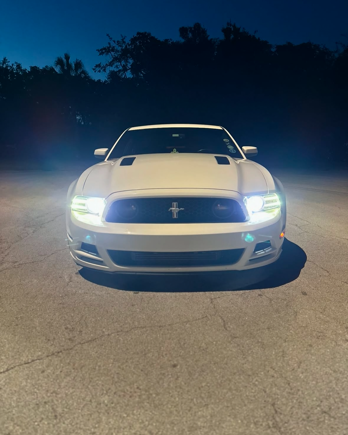 Polish and Machine Wax